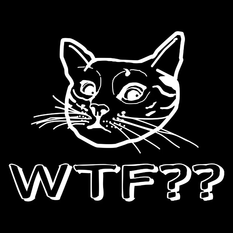 WTF cat
