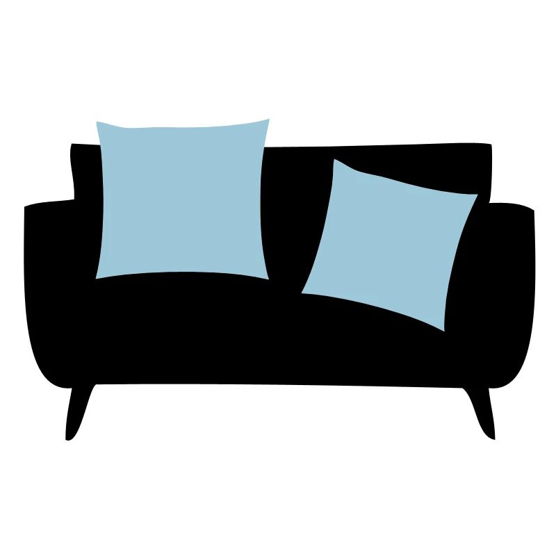 Sleeper sofa & Pillows