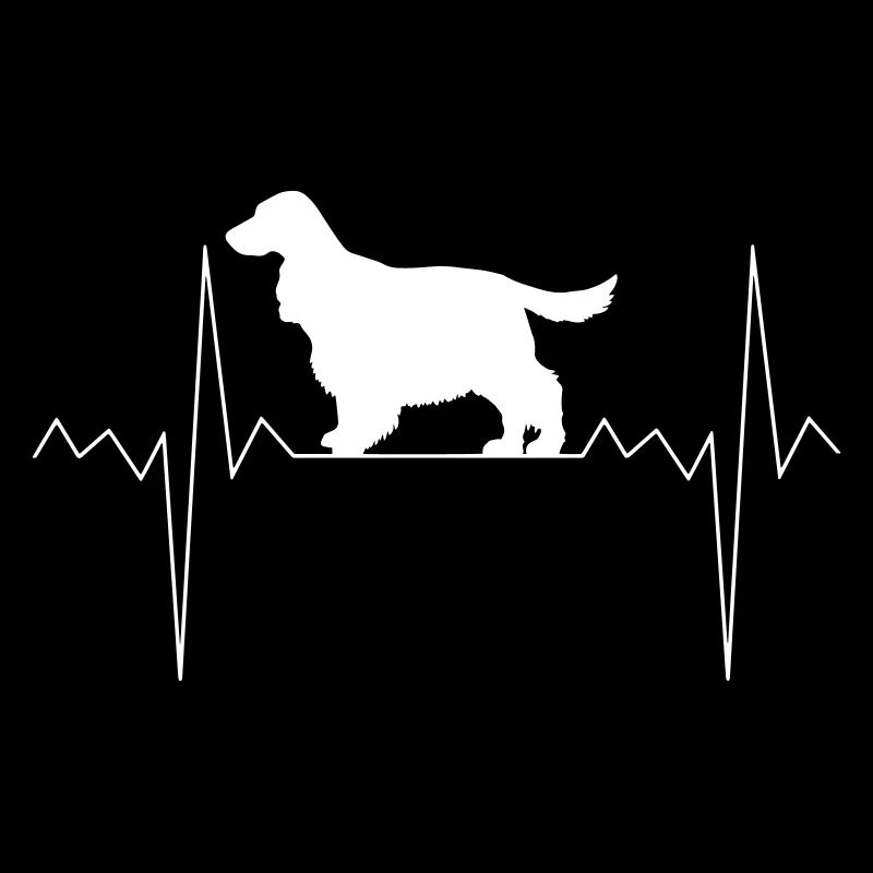 Herzschlag Herzfrequenz Cocker Spaniel