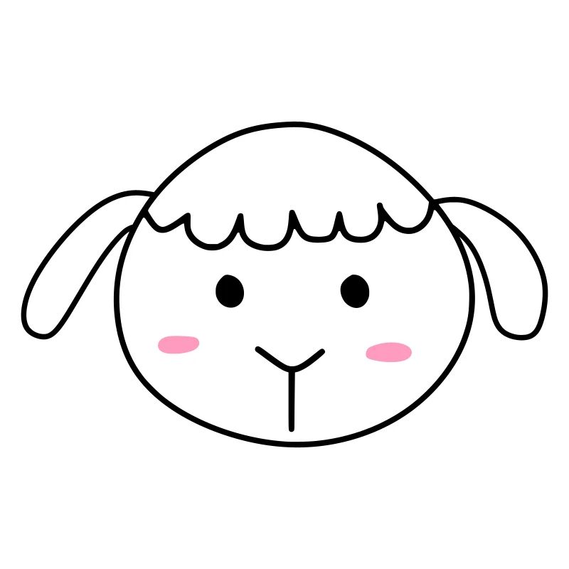 Cute sheep