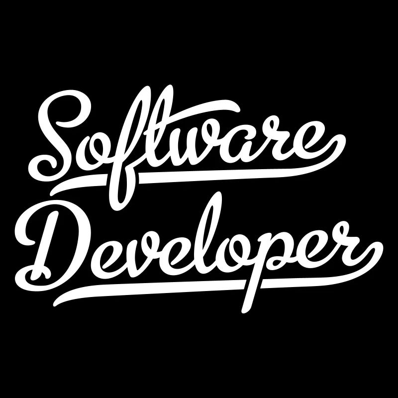 Software Developer