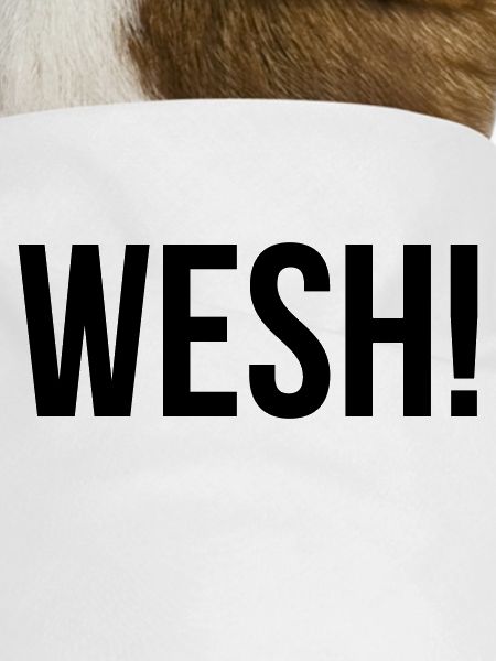 WESH!