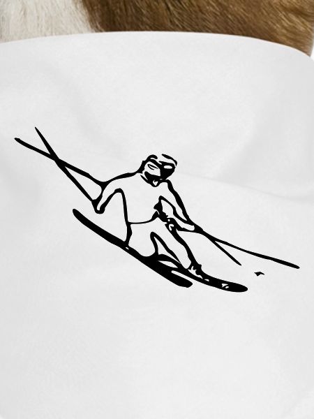 Dynamic Skier