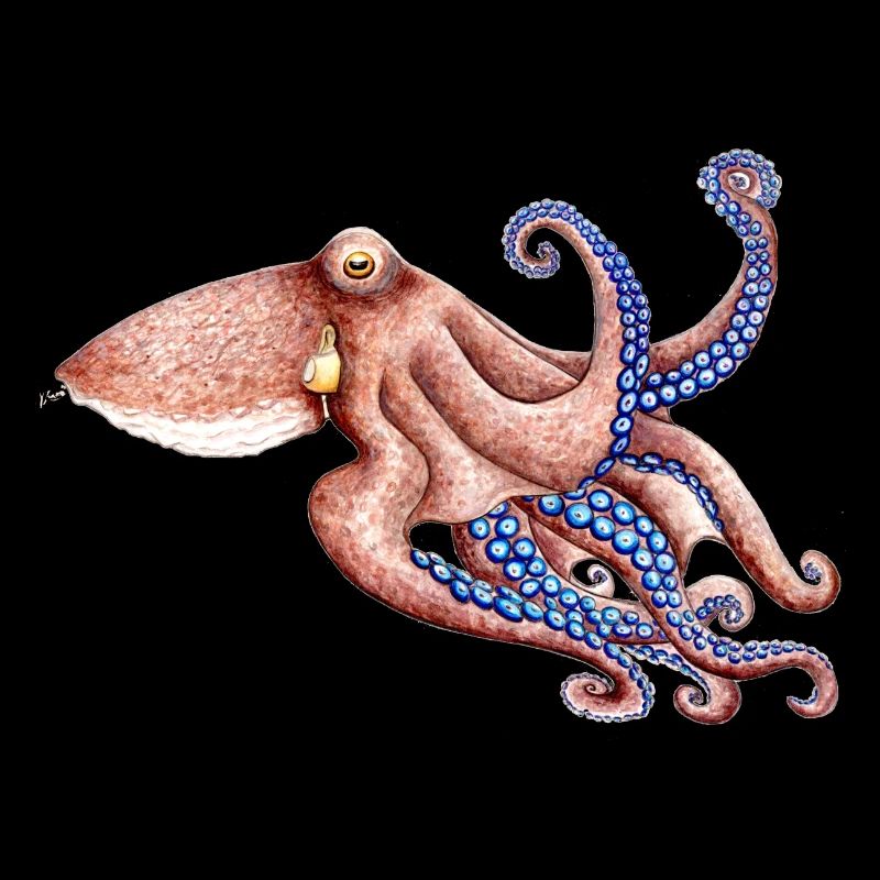 Blue octopus - Blue octopus - Poulpe bleu