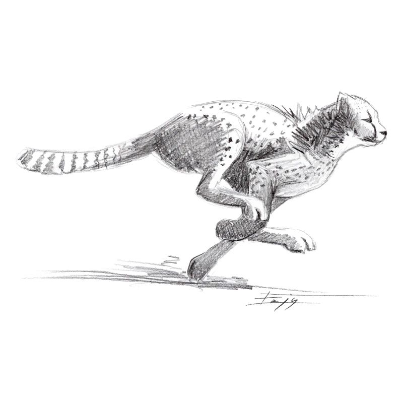 Guépard