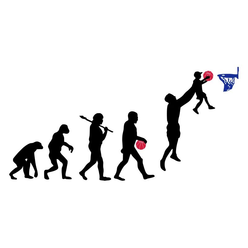 Evolution Basket daddy