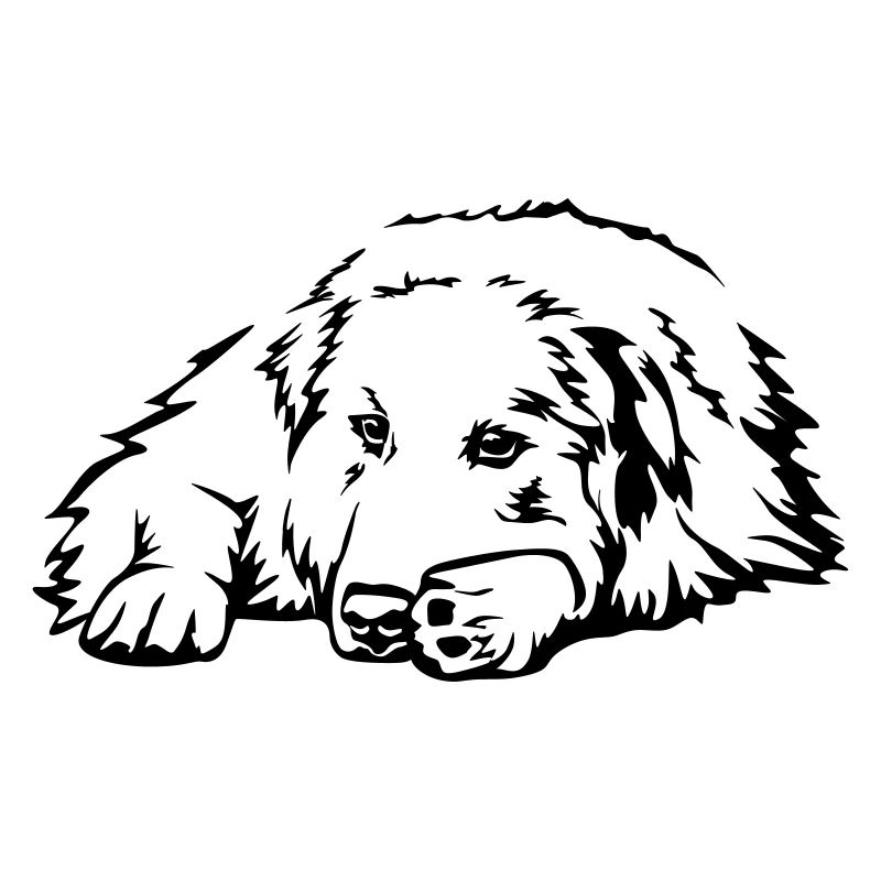 Pyrenees mountain dog