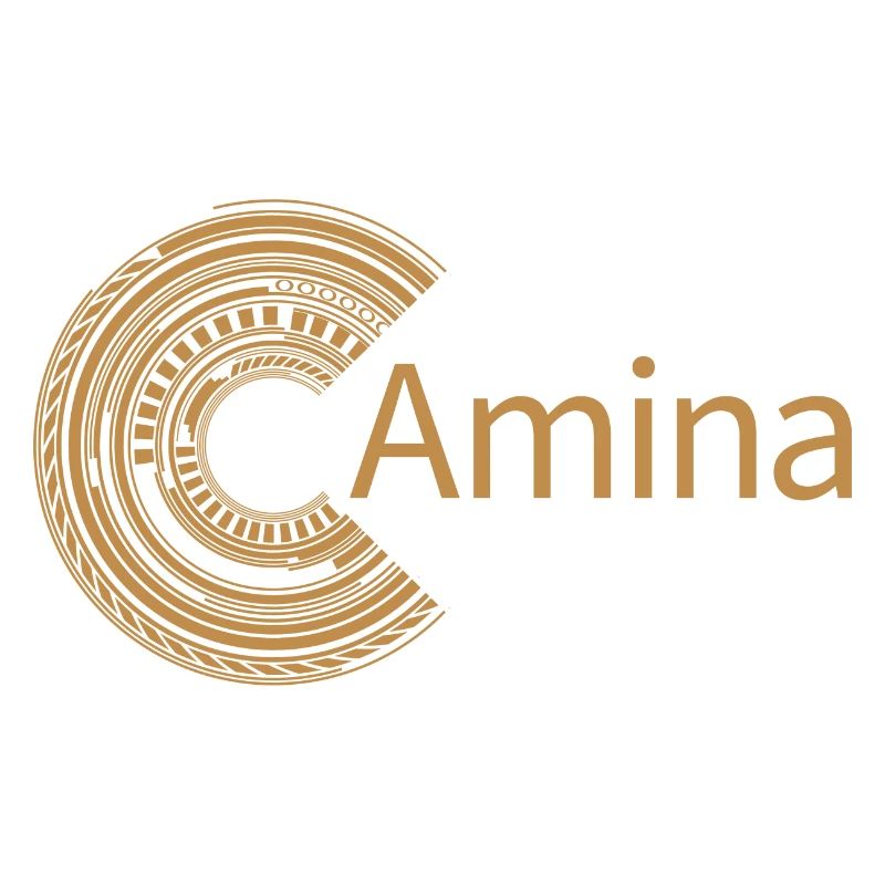 Pour Amina