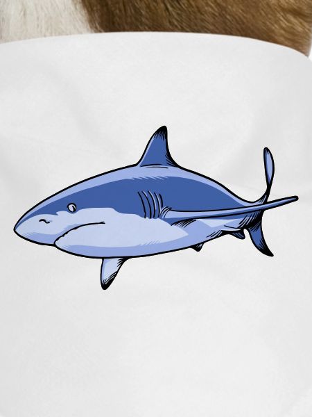 Requin