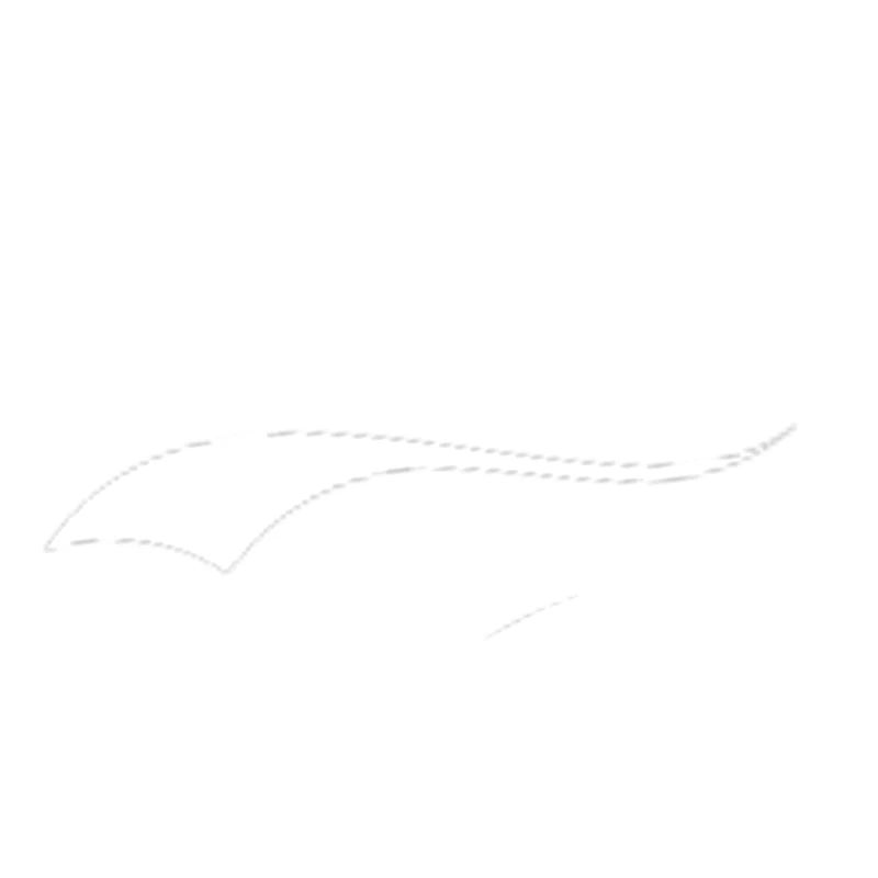 Cabriofahrer Statement coole Retro Schrift Cabrio