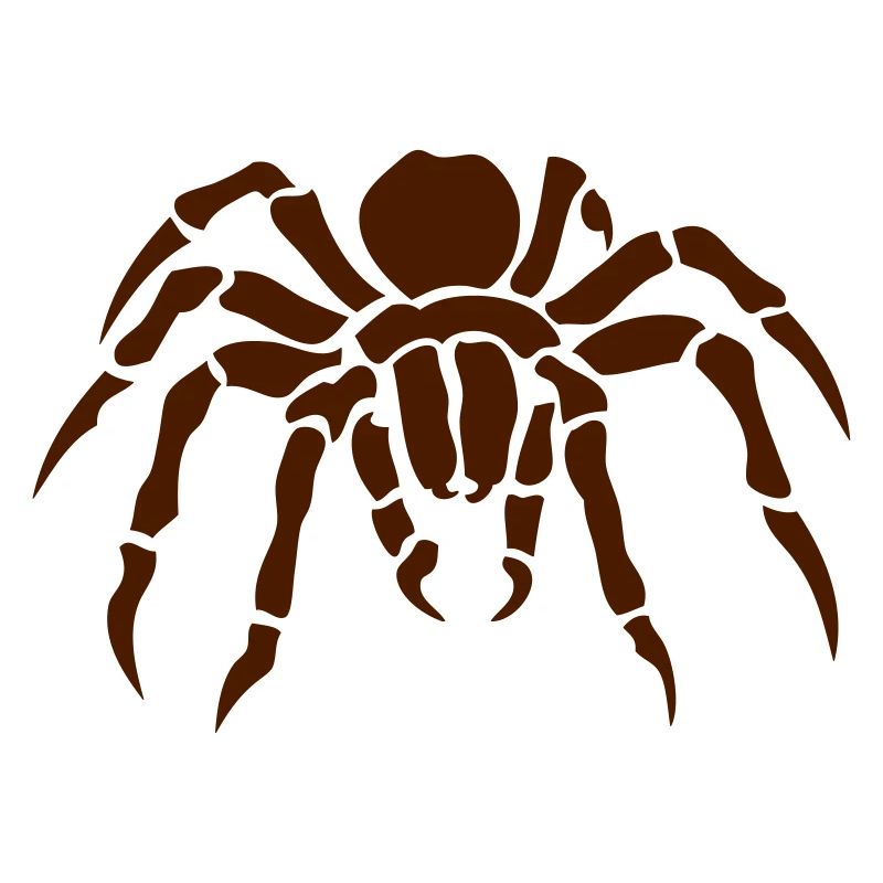 araignee spider spinne ragno arana 2011