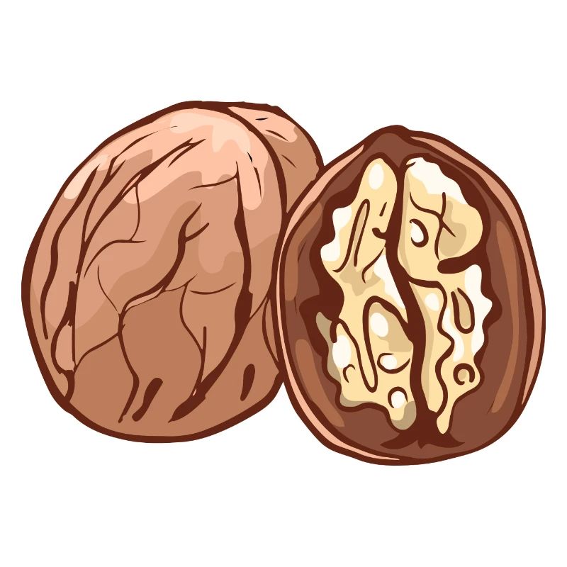 Real walnut nuts nut walnutwalnuts