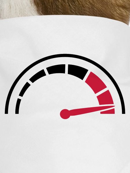 Speedometer quick lawn