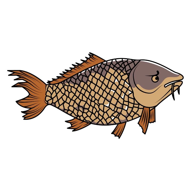 Grantiger Karpfen / Grumpy Carp