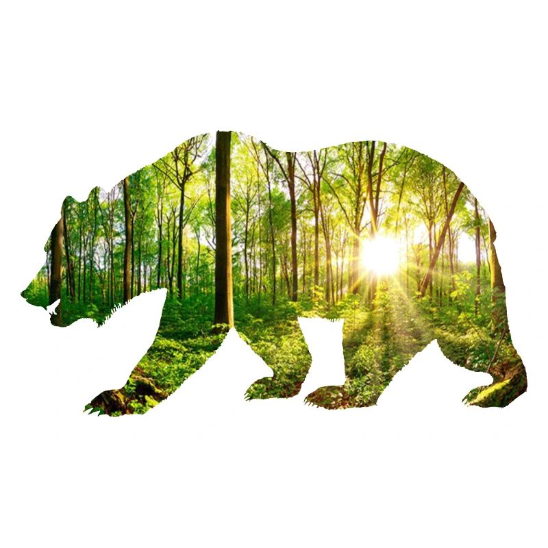 Ambiente orso