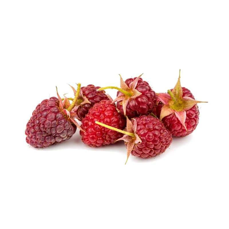 Himbeere. raspberry