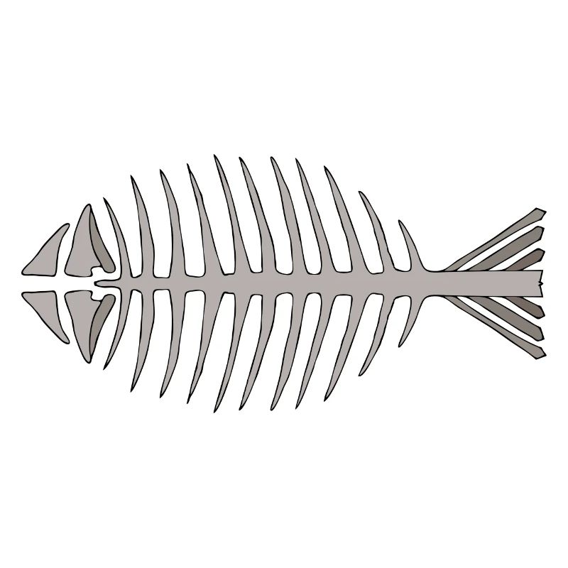 Fish skeleton
