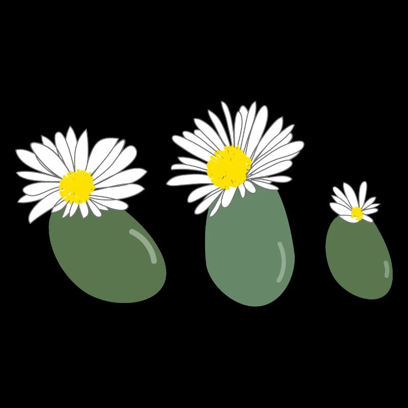 Fleur de lithops2