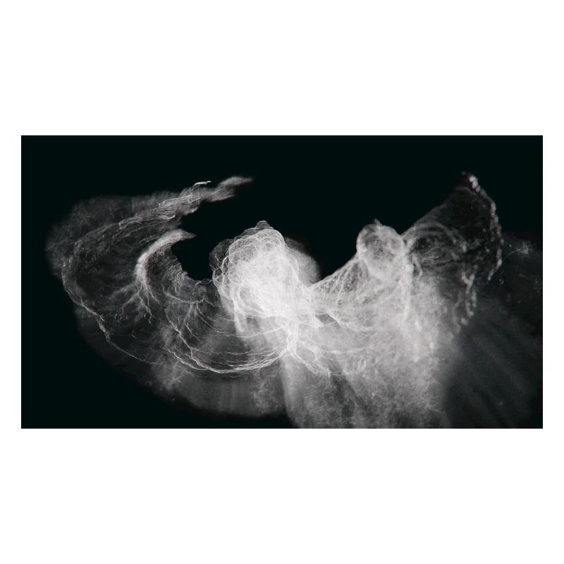 Nocturnal/Lost [Second]