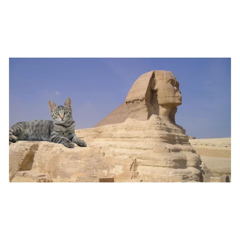 Cat and Sphinx