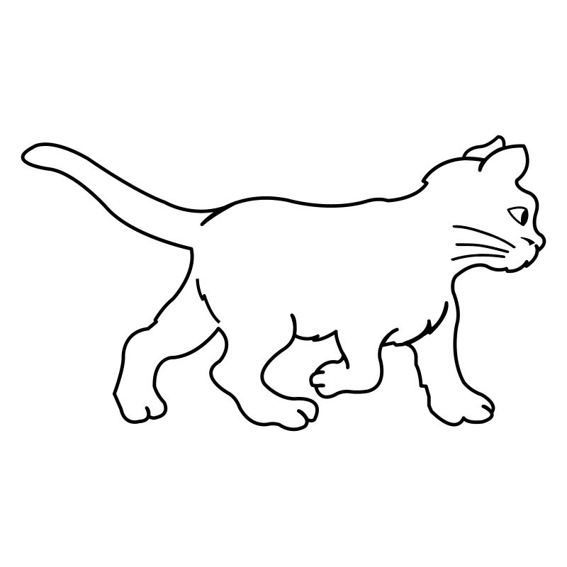 katze
