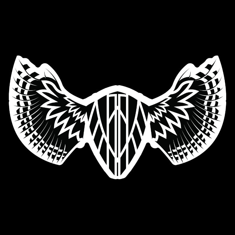 The Mystical Winged Ancient Shield