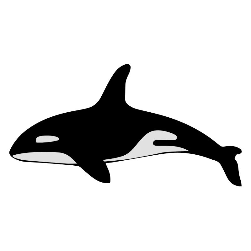 Orque requin océan