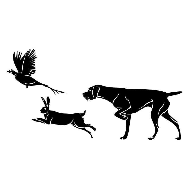 German Wirehaired - Pheasant - Rabbit - negative