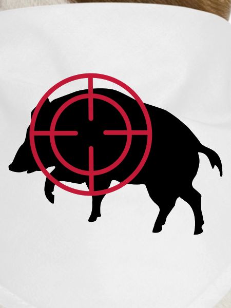 boar