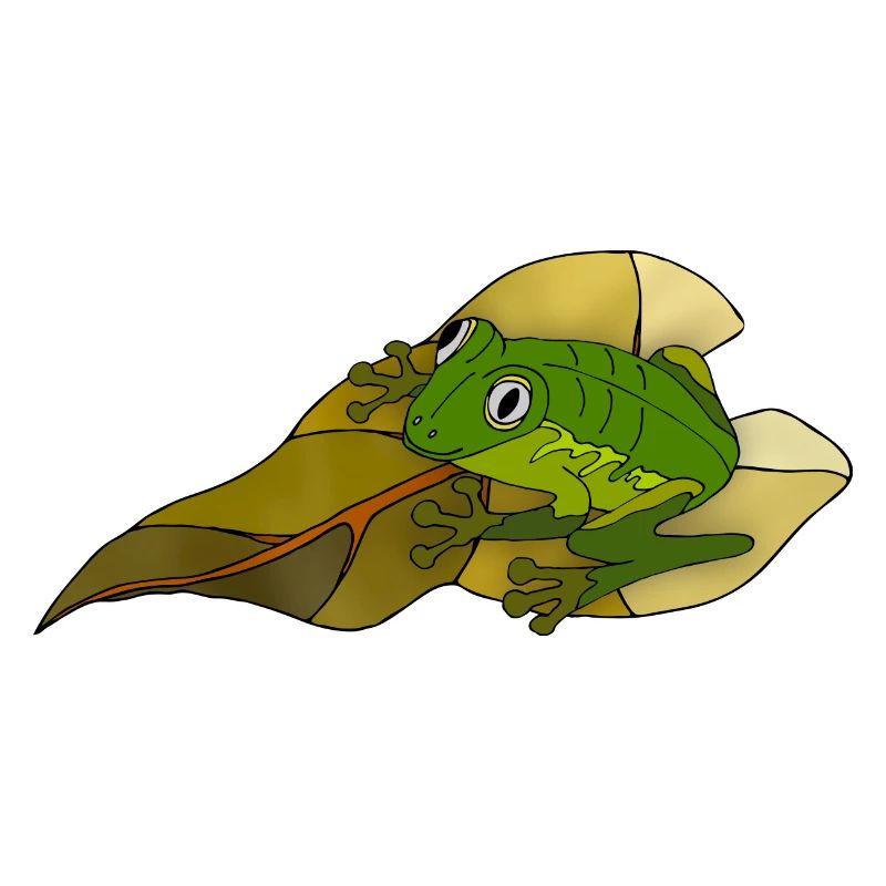 Frog