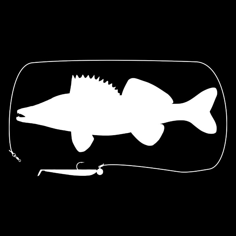 Pike-perch with softbait