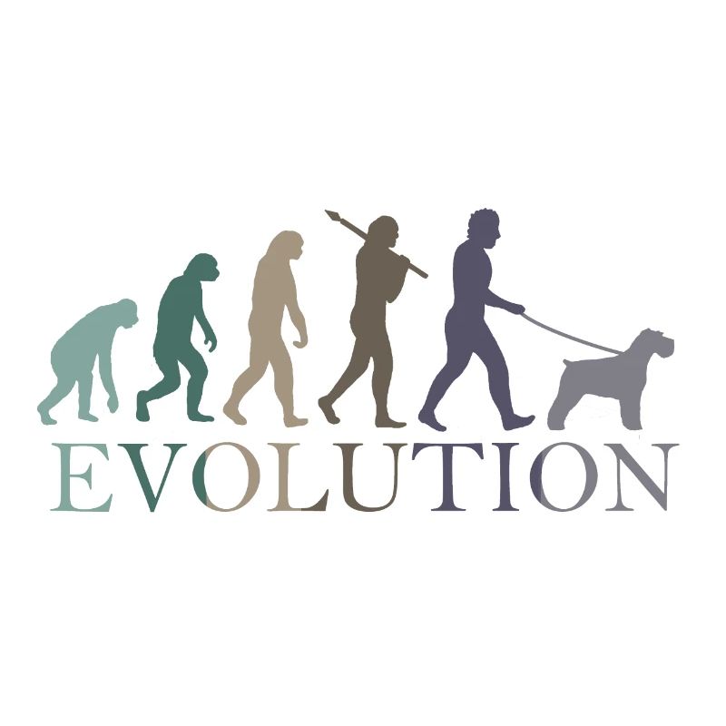 L’ÉVOLUTION DU SCHNAUZER