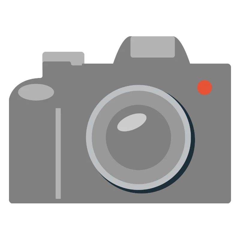 Camera Icon Graphic Gray
