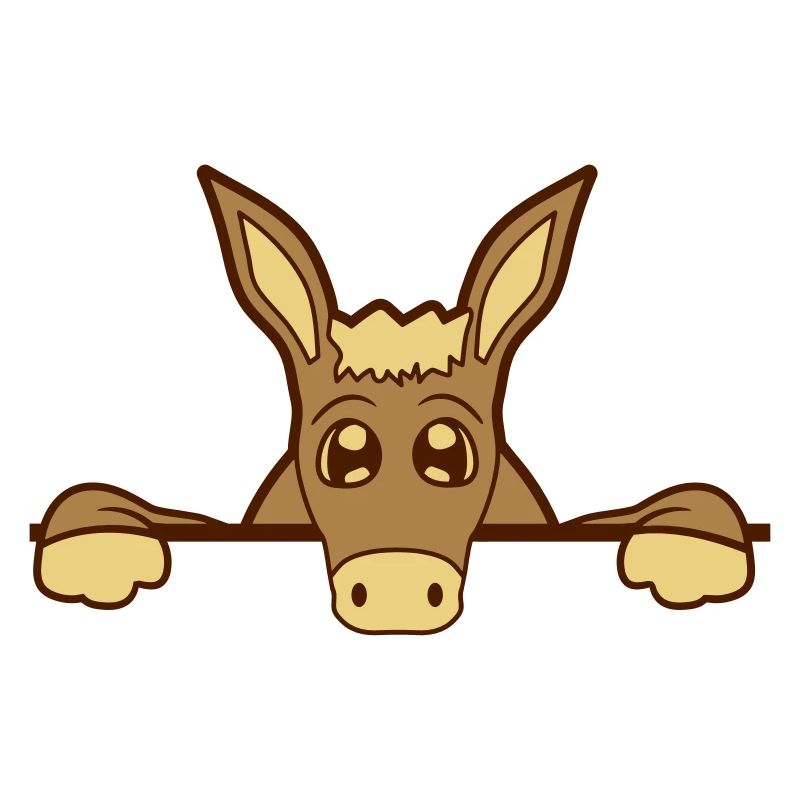 wall wall half text field area write small