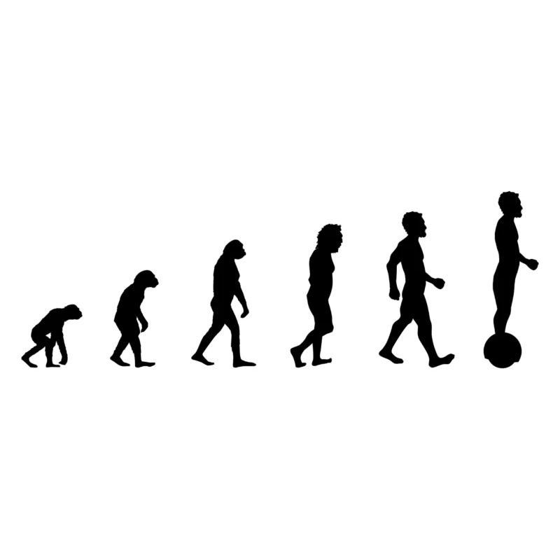 Gyrowheel evolution