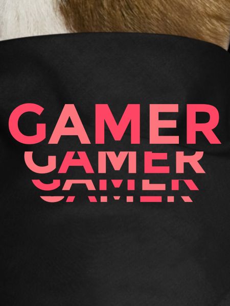 Gamer