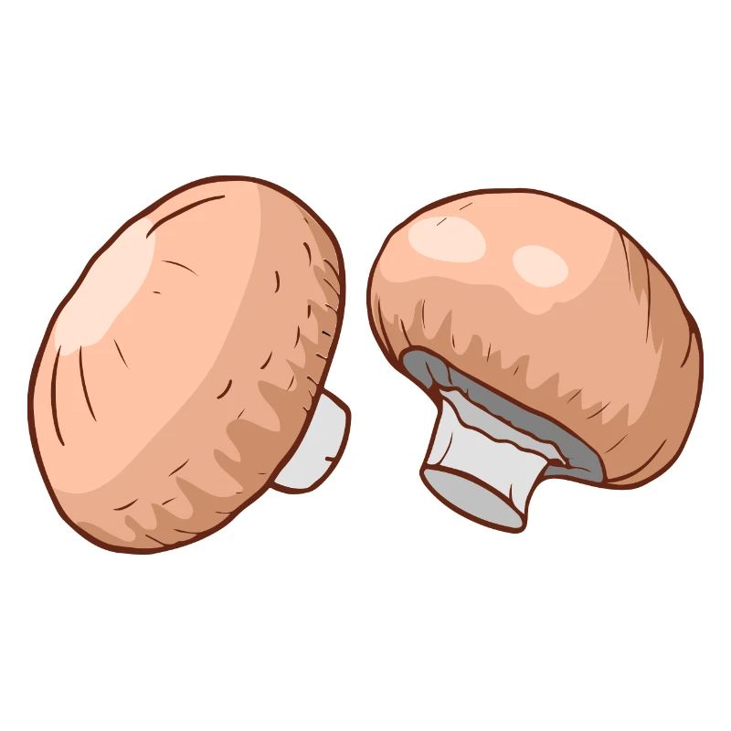 Champignons Egerlinge Angerlinge champignons