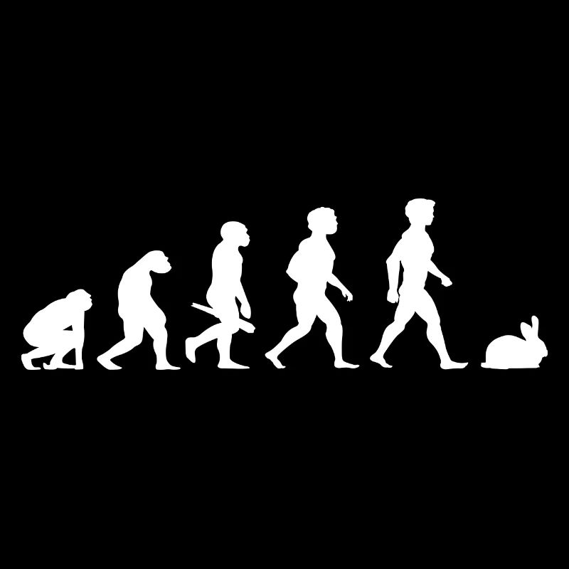 Evolution rabbit rabbits rabbit bunny rodents