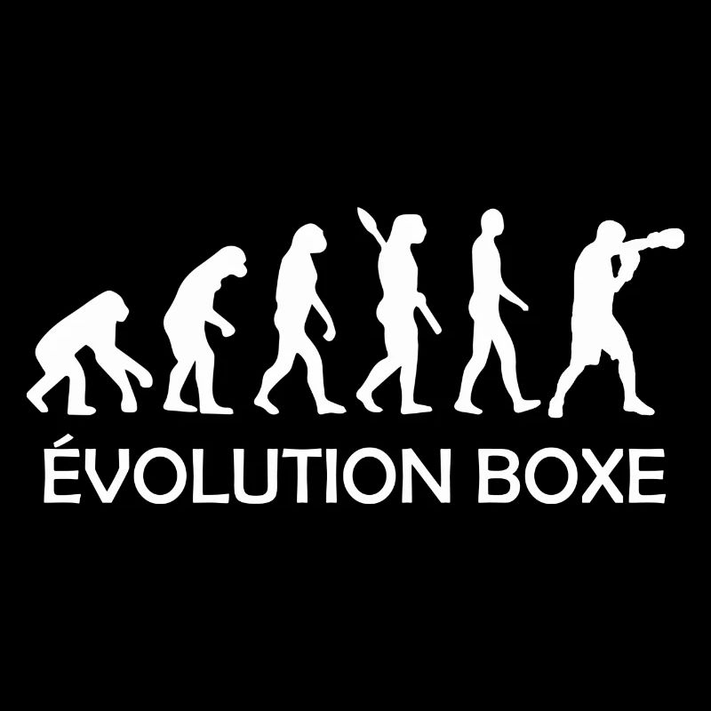 évolution boxe / evolution boxeur
