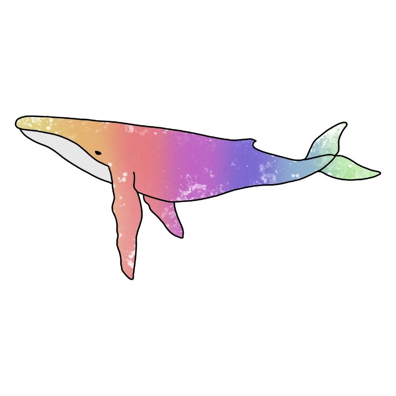 Wal Regenbogen Version