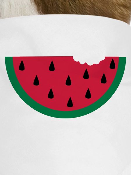 fruit pastèque pastèque