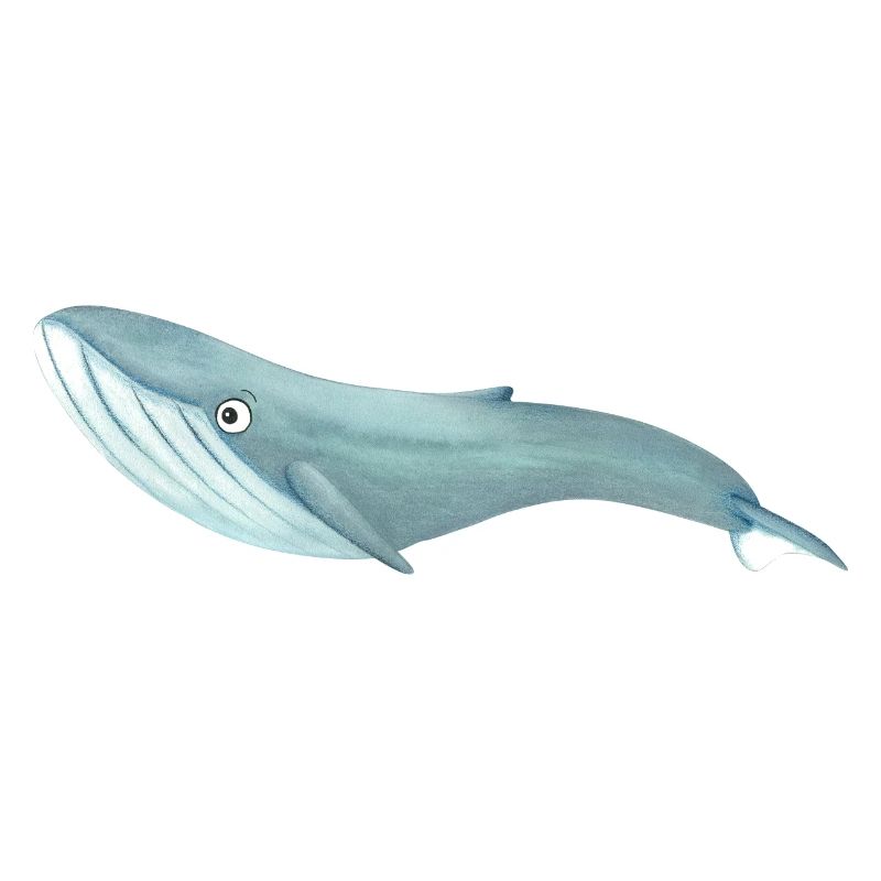 La drôle de baleine bleue