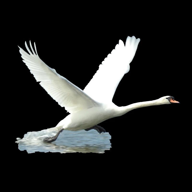 Here it's ready for take off