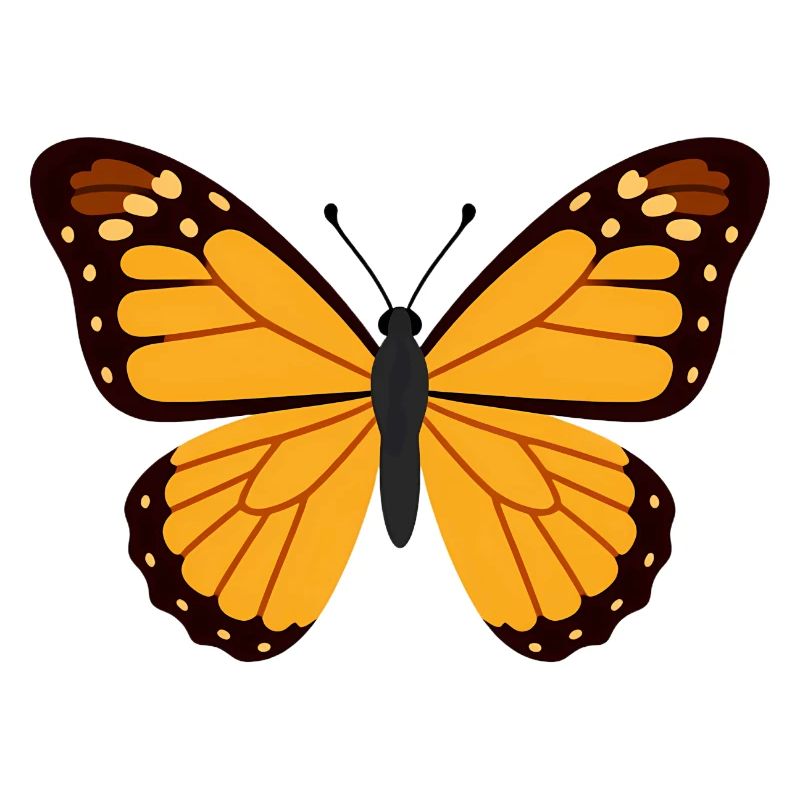 Orange Monarch Wings