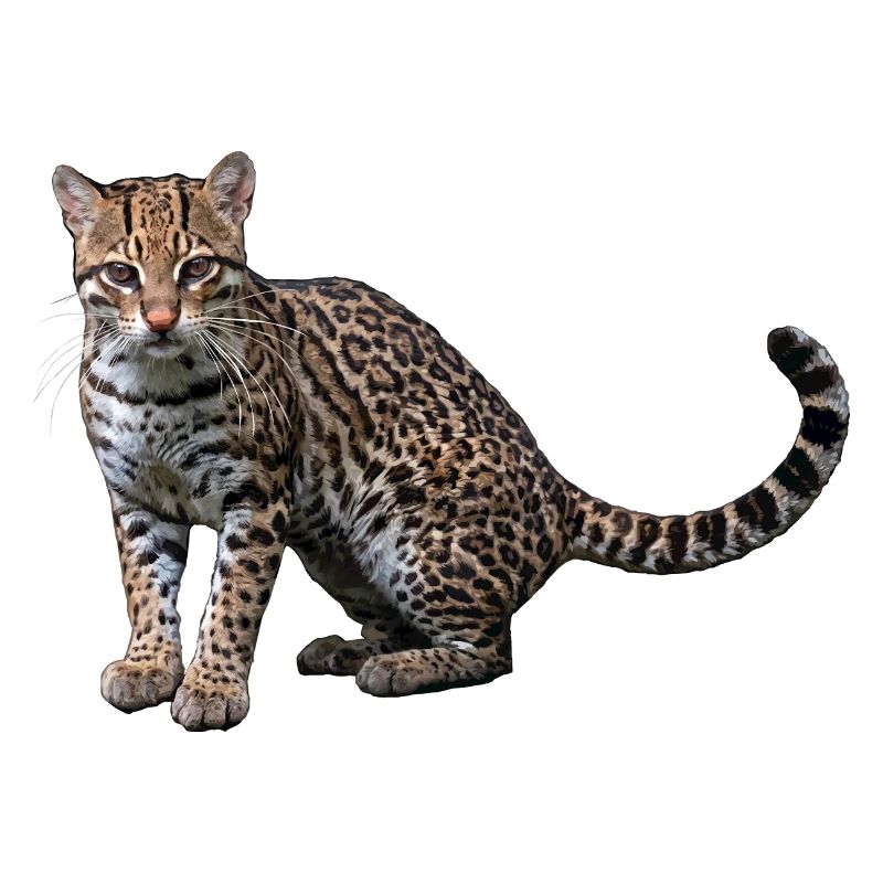 Künstlerischer Leopard