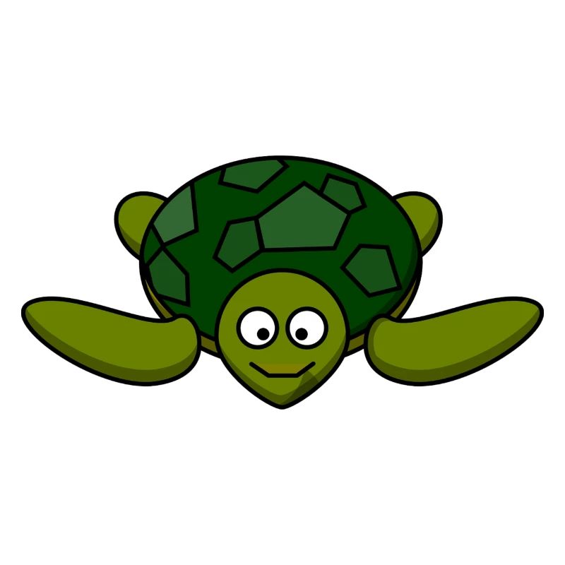 Schildkröte