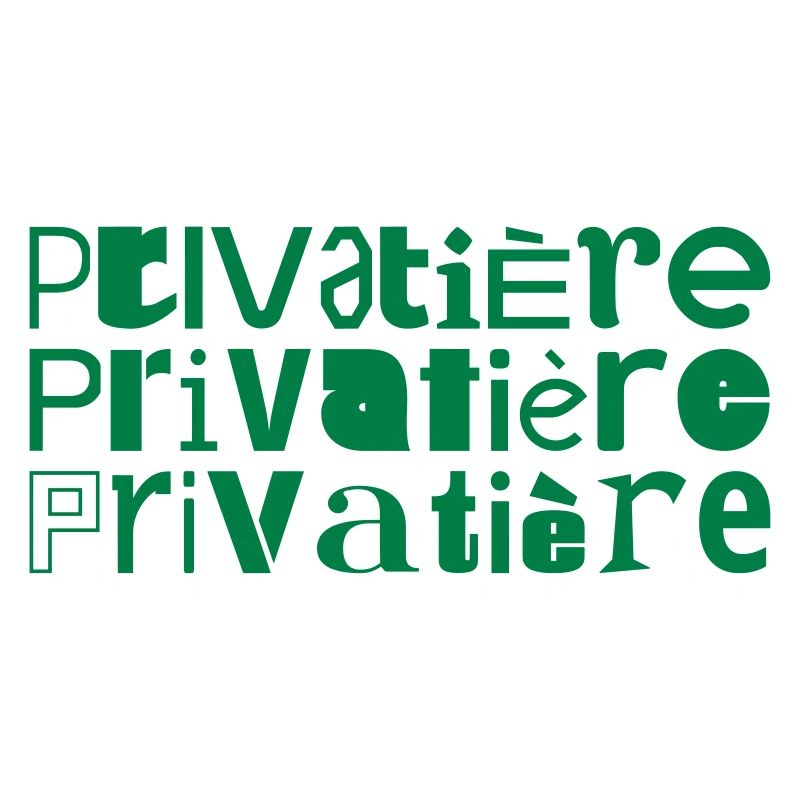 Privatisation Privatisation mot devise dire