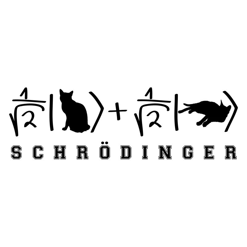Chat de Schrödinger