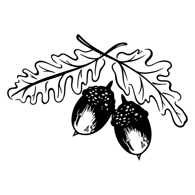 Eicheln, Eichenblätter, Herbst, Wandern