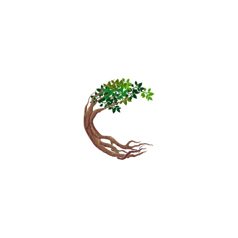 Round Tree Circular World Tree